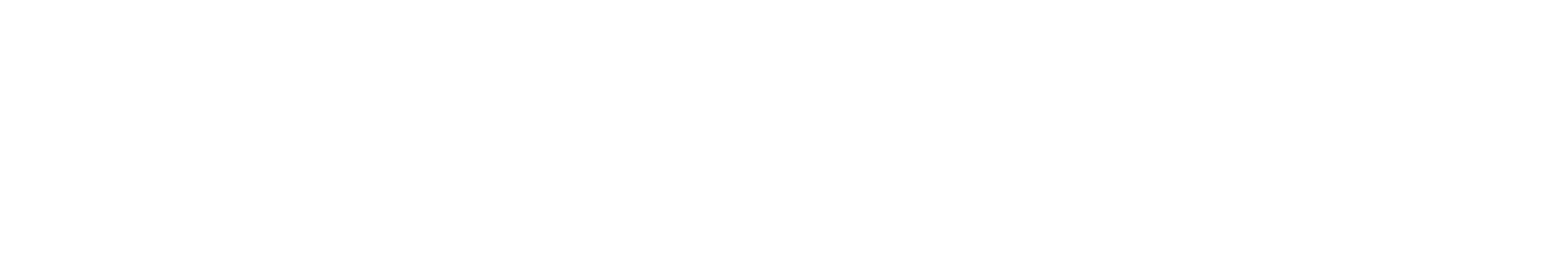 上海新天地人力資源信息咨詢有限公司